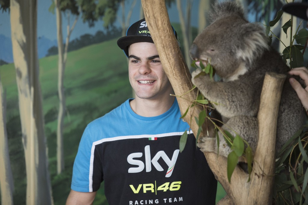 PHILLIP ISLAND, AUSTRALIA - OCTOBER 15: Romano Fenati of Italy and Sky Racing Team by VR46 jokes with a koala during a pre-event at the Maru Koala Park ahead of the 2015 MotoGP of Australia at Phillip Island Grand Prix Circuit on October 15, 2015 in Phillip Island, Australia. (Photo by Mirco Lazzari gp/Getty Images)