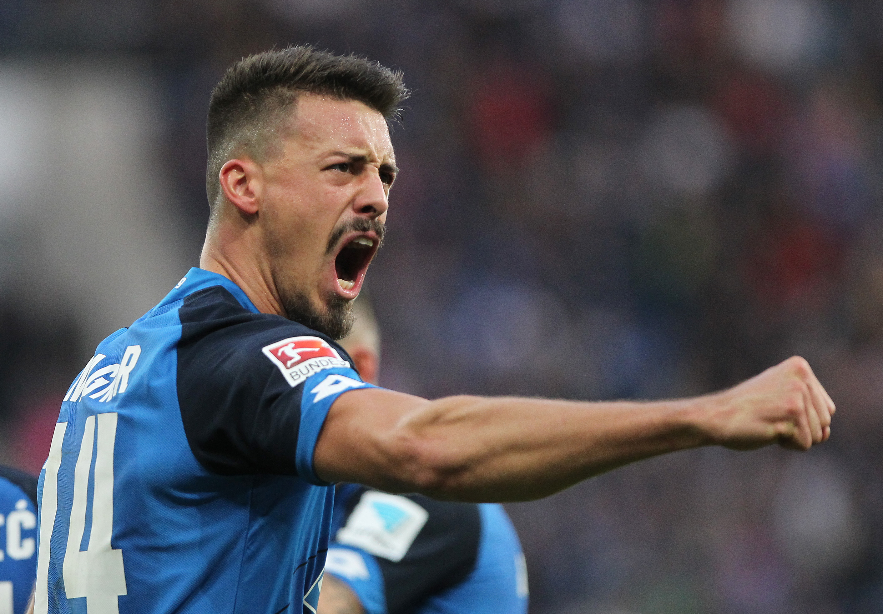 Hoffenheim's forward Sandro Wagner celebrates scoring the 1-1 goal during the German first division Bundesliga football match between TSG Hoffenheim and Hamburg SV in Sinsheim, southern Germany, on November 20, 2016. / AFP / DANIEL ROLAND / RESTRICTIONS: DURING MATCH TIME: DFL RULES TO LIMIT THE ONLINE USAGE TO 15 PICTURES PER MATCH AND FORBID IMAGE SEQUENCES TO SIMULATE VIDEO. == RESTRICTED TO EDITORIAL USE == FOR FURTHER QUERIES PLEASE CONTACT DFL DIRECTLY AT + 49 69 650050 (Photo credit should read DANIEL ROLAND/AFP/Getty Images)