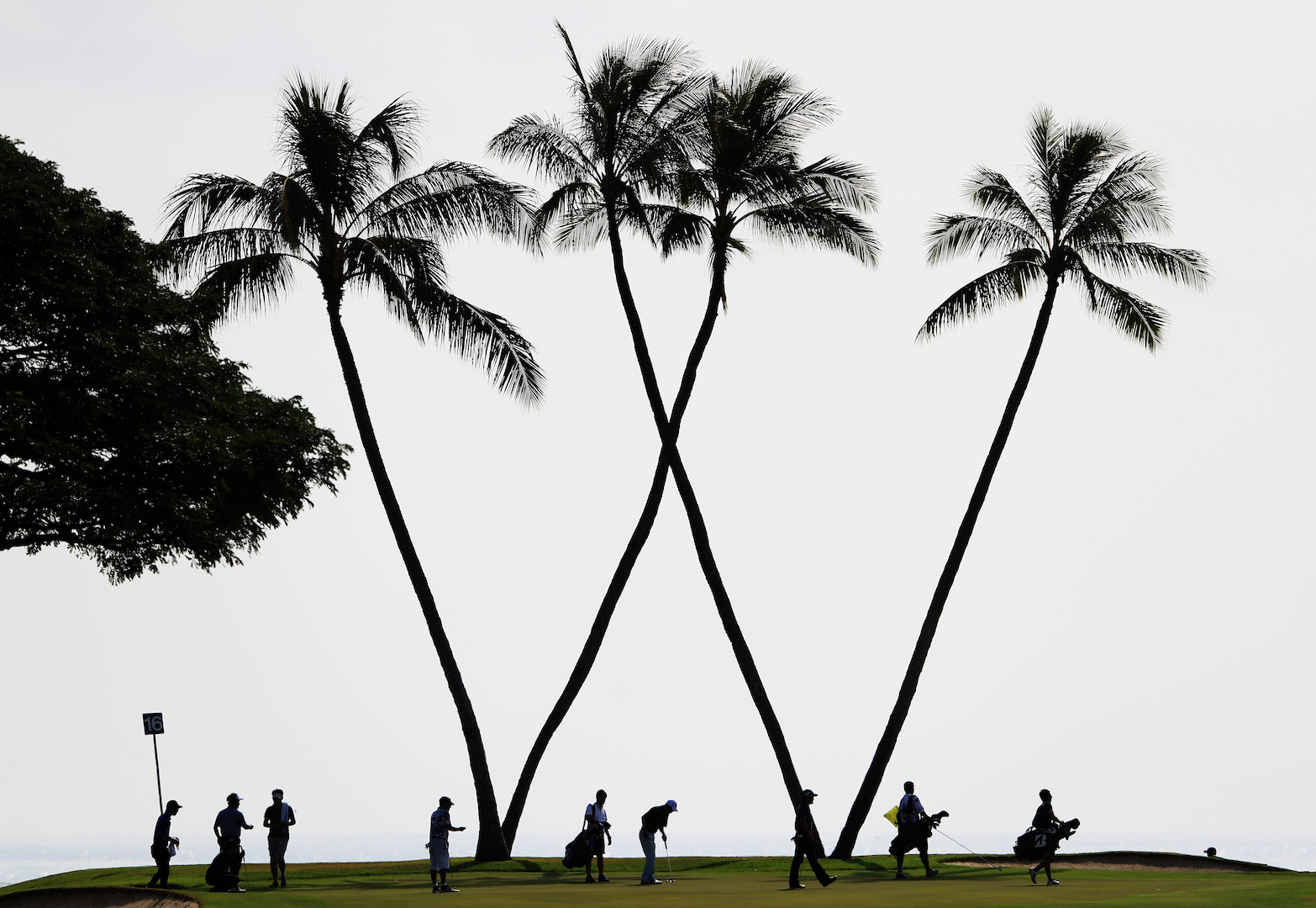 HONOLULU, HI - JANUARY 09: A general view of the 16th green during practice rounds prior to the Sony Open In Hawaii at Waialae Country Club on January 9, 2017 in Honolulu, Hawaii. (Photo by Sean M. Haffey/Getty Images)