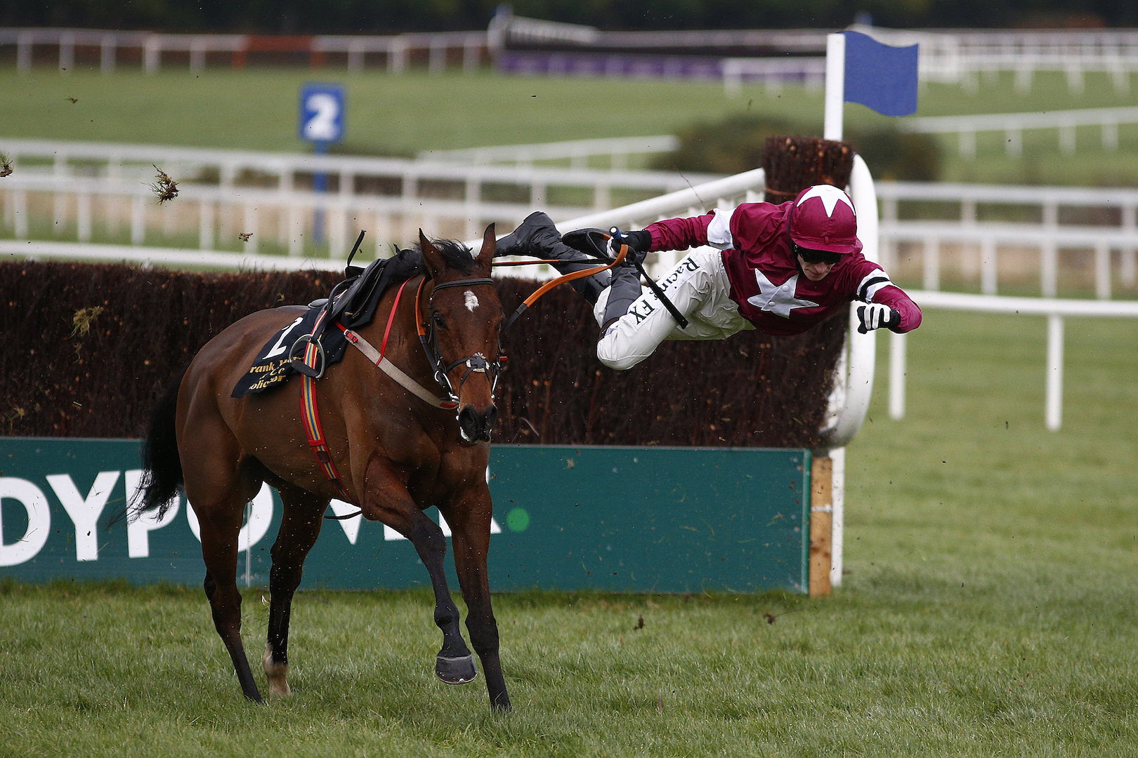 DUBLIN, IRELAND - JANUARY 29: David Mullins riding Identity Thief fall during The Frank Ward Solicitors Arkle Novice Steeplechase at Leopardstown racecourse on January 29, 2017 in Dublin, Ireland. (Photo by Alan Crowhurst/Getty Images)