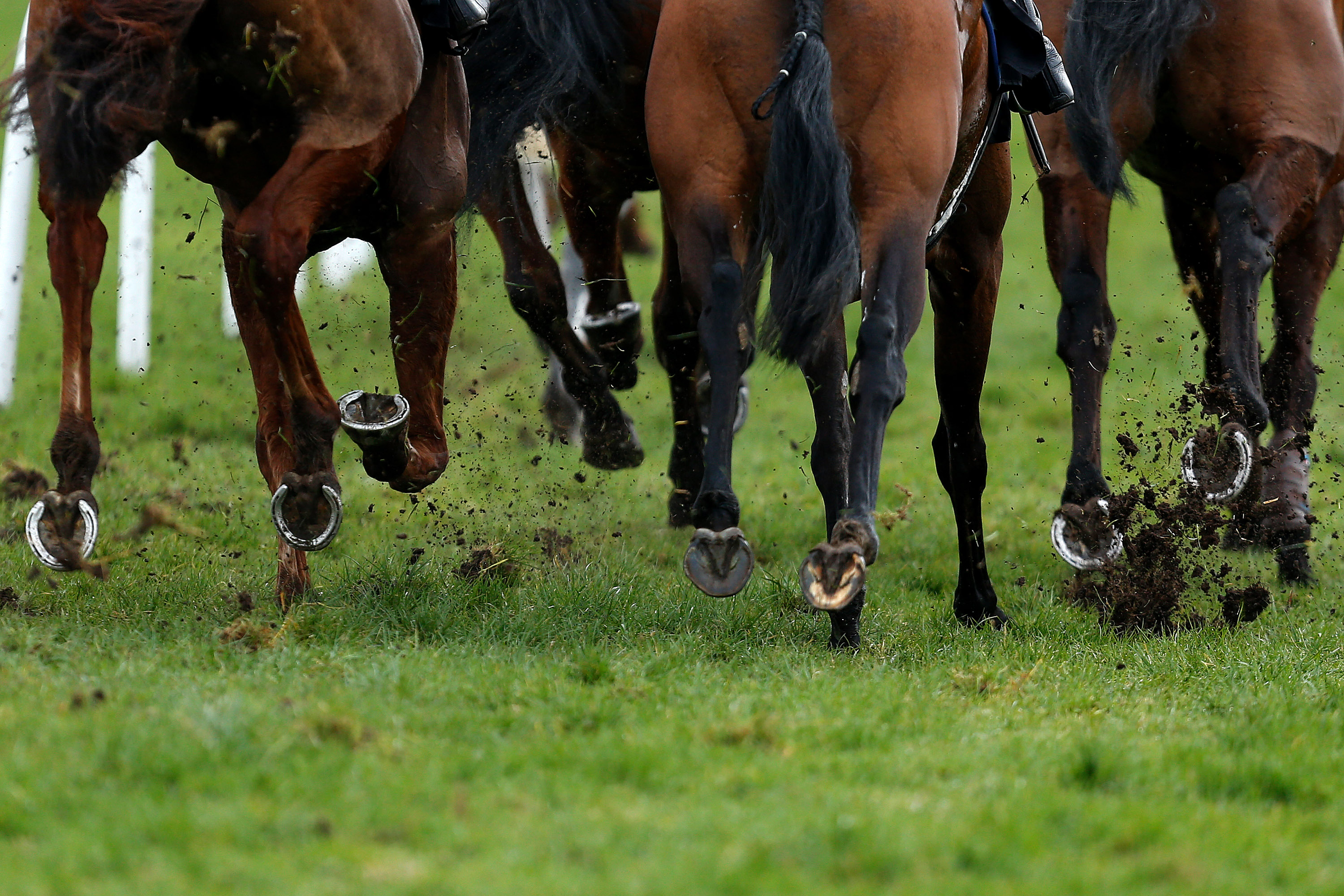 NEWBURY, ENGLAND - MARCH 03: Runners kick up the turf as they turn the bend at Newbury Racecourse on March 03, 2017 in Newbury, England. (Photo by Alan Crowhurst/Getty Images)