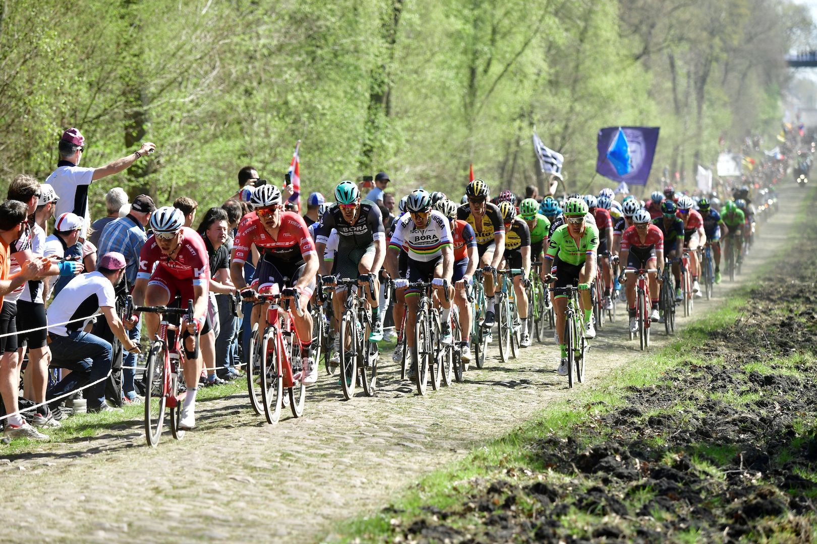 Belgium's Jasper Stuyven (2ndL) and Slovakia's Peter Sagan (4thL) ride on the cobblestones during the 115th edition of the Paris-Roubaix one-day classic cycling race, between Compiegne and Roubaix, on April 9, 2017. / AFP PHOTO / Philippe LOPEZ (Photo credit should read PHILIPPE LOPEZ/AFP/Getty Images)