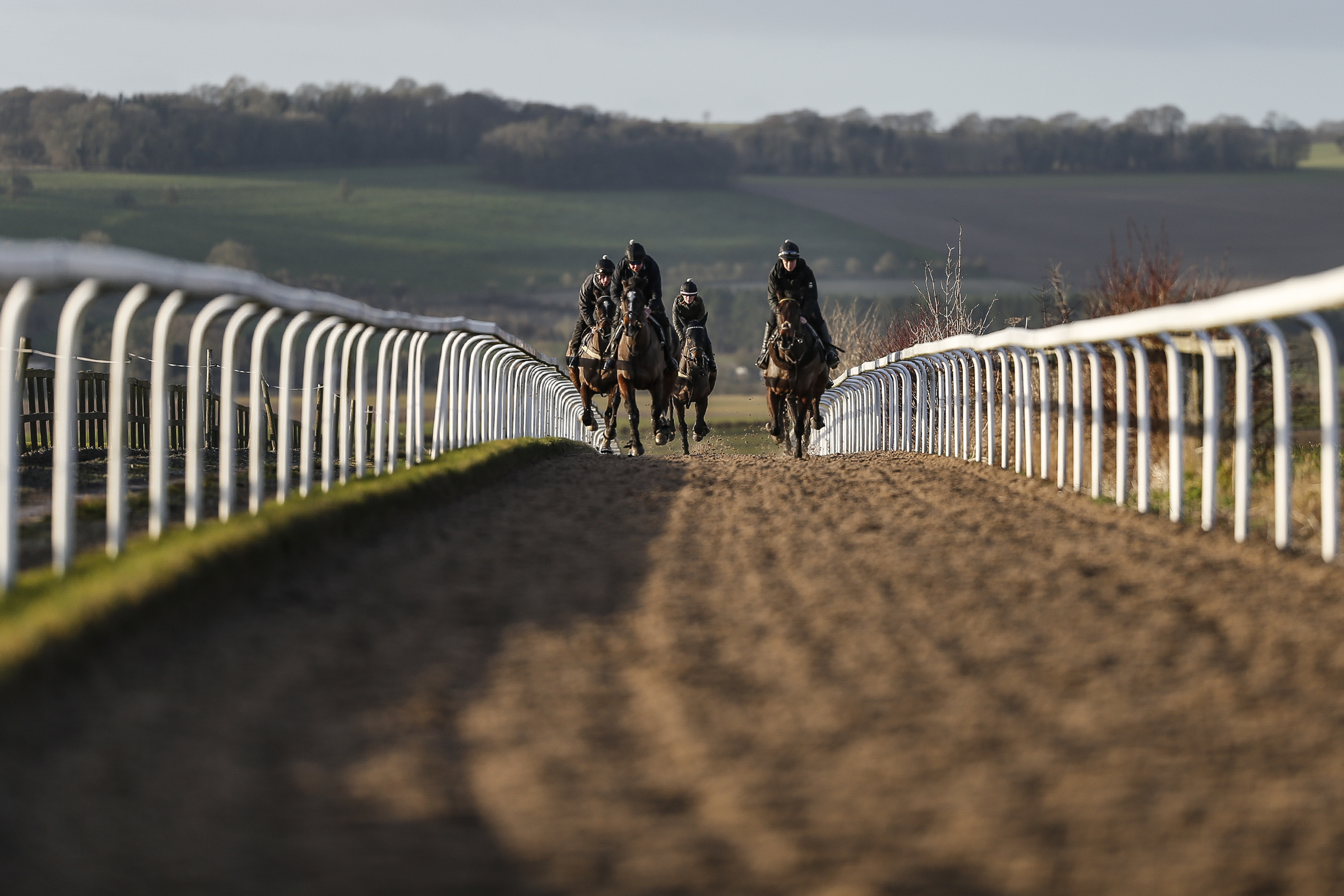 LAMBOURN, ENGLAND - JANUARY 05: Racehorse make their way up the Mandown gallops from Warren Greatrexâs Uplands yard on January 5, 2018 in Lambourn, England. (Photo by Alan Crowhurst/Getty Images)